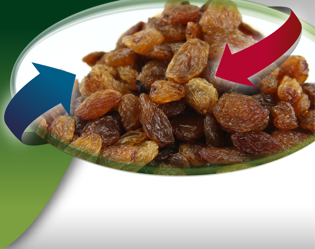 DRIED TURKISH SULTANAS