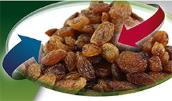 DRIED TURKISH SULTANAS